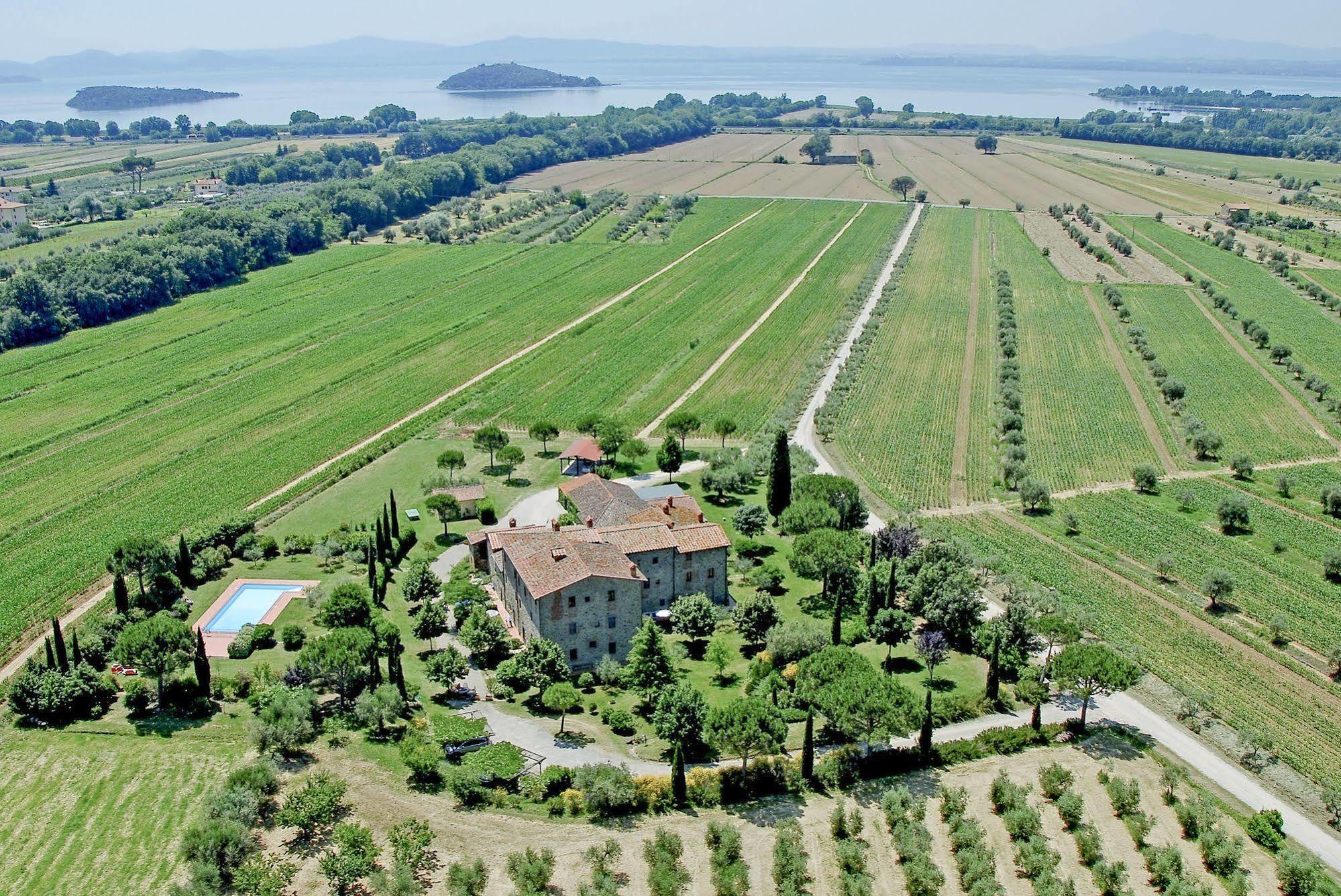 La Fattoria Del Rio Di Sopra - Agriturismo Baldeschi ตัวโร ซุล ตราซิเมโน ภายนอก รูปภาพ